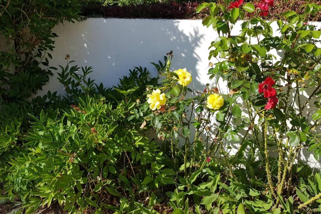Le Clos De Chacha Villa Carly Exterior photo